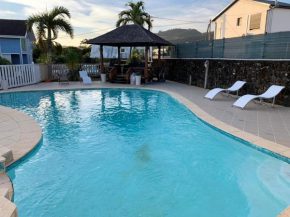 Appartement charmant à Saint-Joseph, 50 m², vue sur mer, piscine